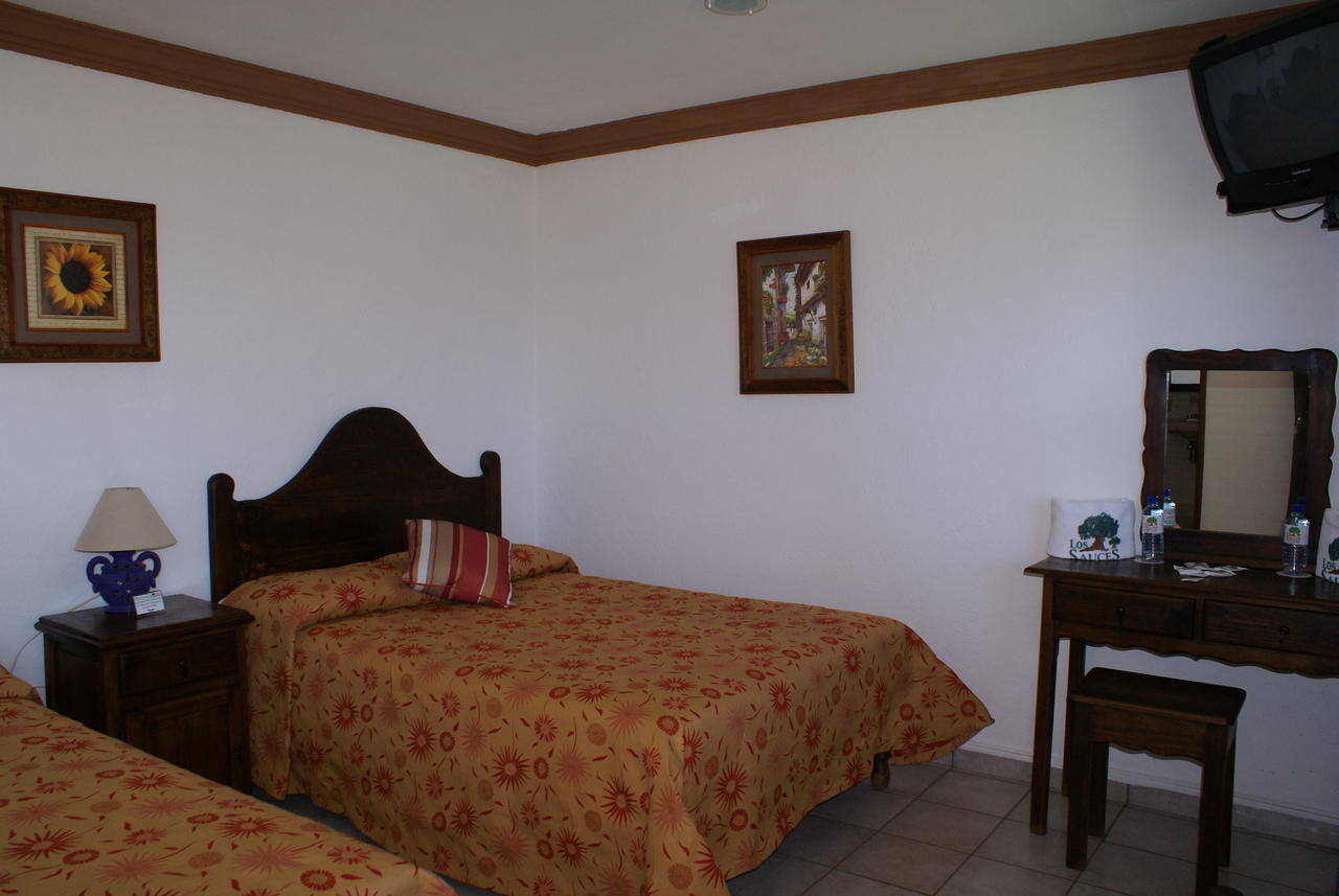 Hotel Los Sauces Villa Del Carbon Oda fotoğraf